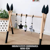 Centru de Activitati din Lemn pentru Bebelusi BabyMagic