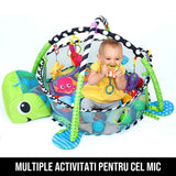 Centru de Activitati si Piscina cu Bile 3 in 1 pentru Bebelusi Endless Fun