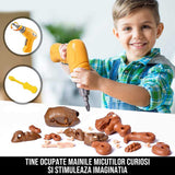 Kit de Asamblare Dinozaur T-Rex DinoPlanet
