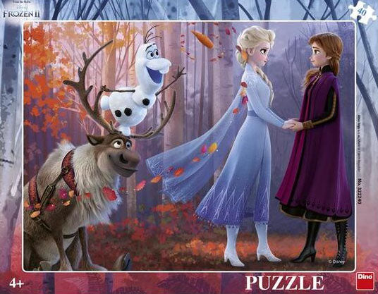 Puzzle Frozen Cu Rama (II) (40 Piese)