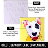 Oita Plictisita - Set Pictura pe Numere pentru Copii